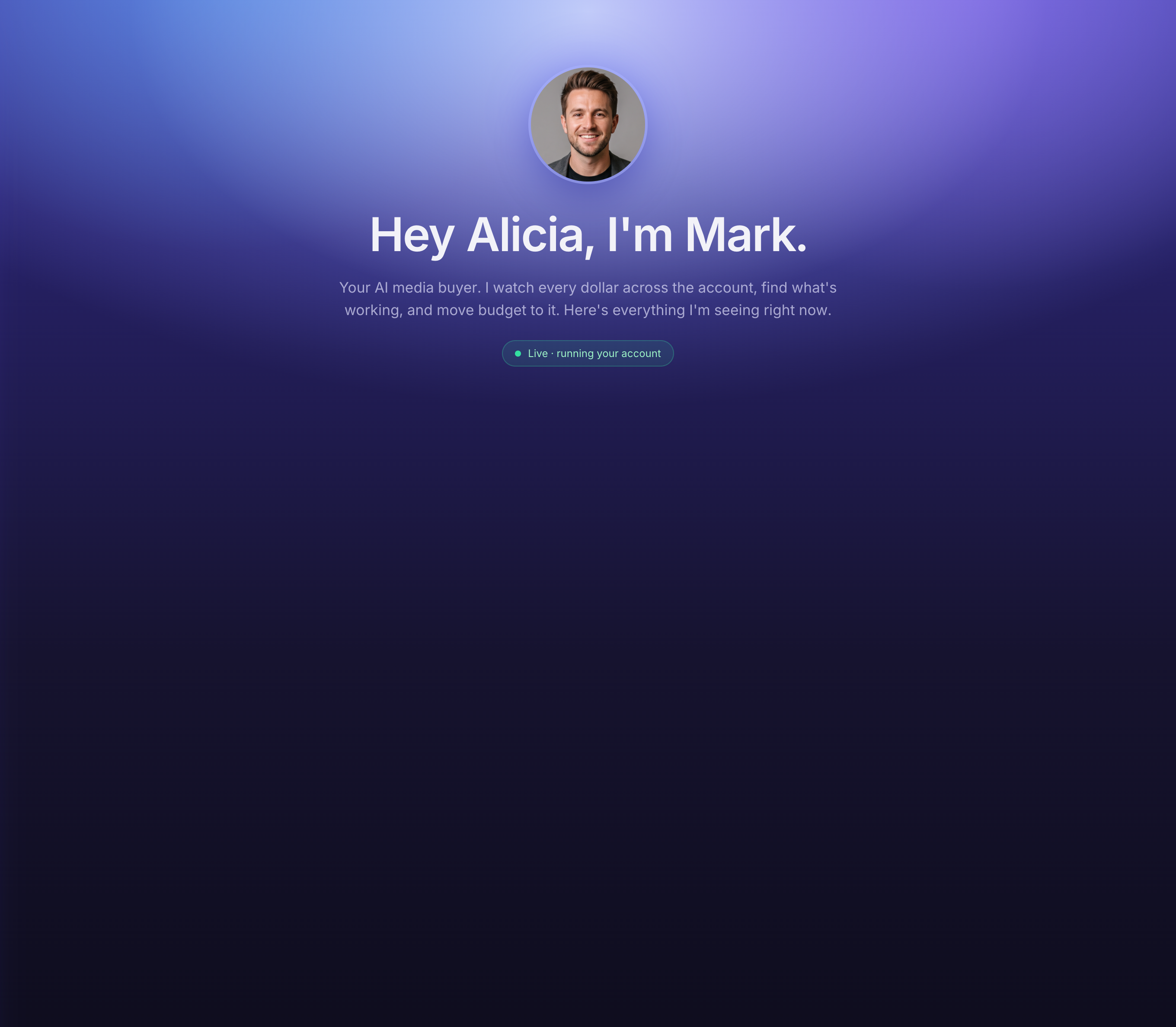 Mark's Insights dashboard