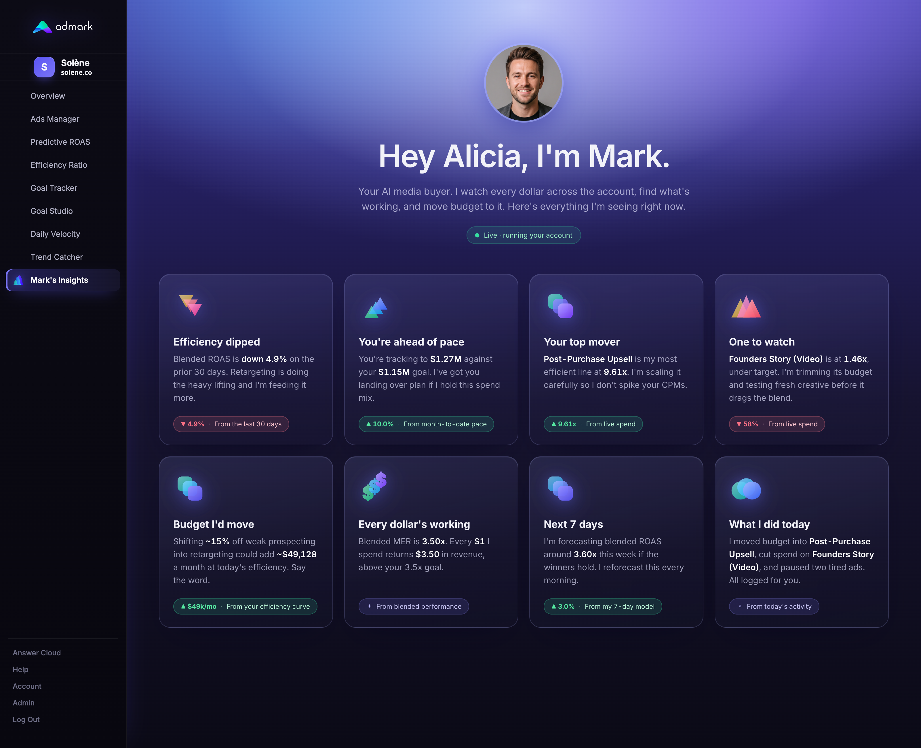 Mark's Insights dashboard